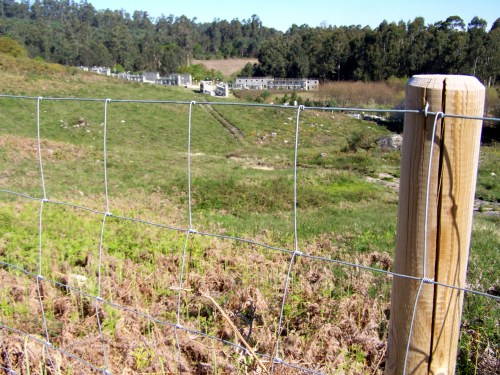 Visita ao Monte de Salcedo organizada pola Comunidade de Montes.