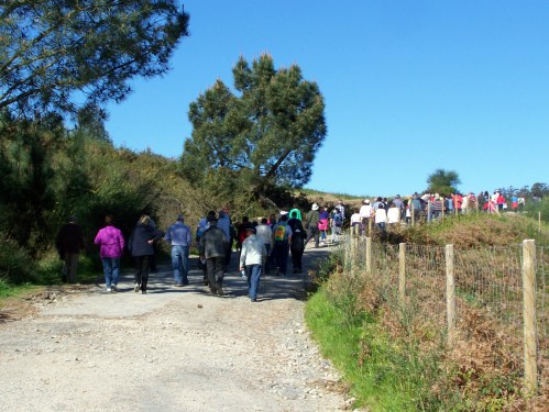 Visita ao Monte de Salcedo organizada pola Comunidade de Montes.