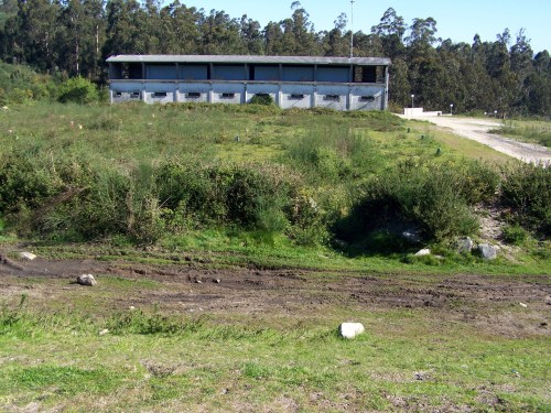 Visita ao Monte de Salcedo organizada pola Comunidade de Montes.