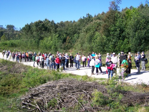 Visita ao Monte de Salcedo organizada pola Comunidade de Montes.