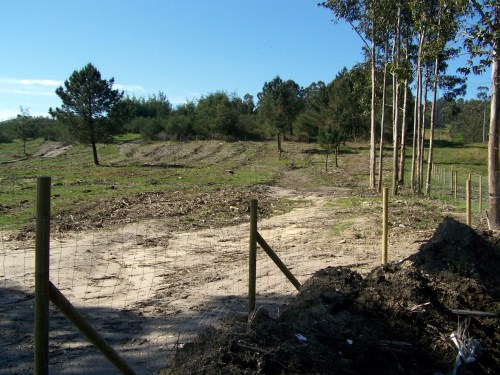 Visita ao Monte de Salcedo organizada pola Comunidade de Montes.