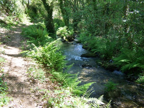 Visita ao Monte de Salcedo organizada pola Comunidade de Montes.