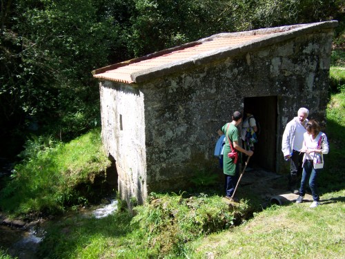 Visita ao Monte de Salcedo organizada pola Comunidade de Montes.