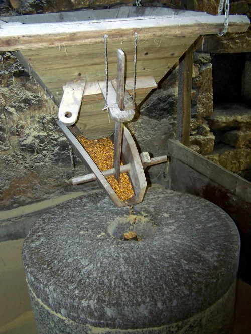 Visita ao Monte de Salcedo organizada pola Comunidade de Montes.