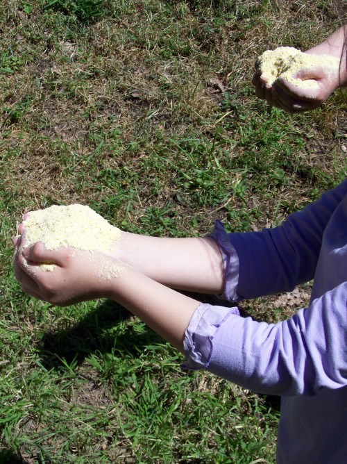 Visita ao Monte de Salcedo organizada pola Comunidade de Montes.