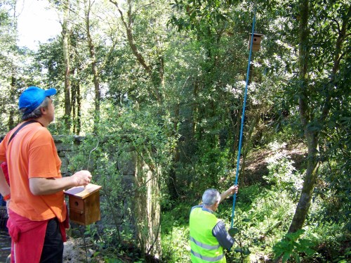 Visita ao Monte de Salcedo organizada pola Comunidade de Montes.