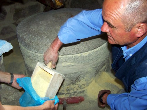Visita ao Monte de Salcedo organizada pola Comunidade de Montes.