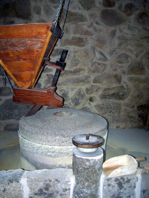 Visita ao Monte de Salcedo organizada pola Comunidade de Montes.