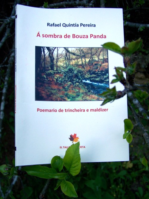 "Á sombra de Bouza Panda": Rafael Quintía.