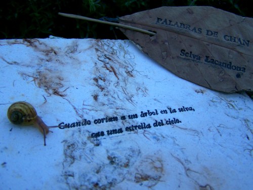 "Palabras de Chan Kun", Selva Lacandona.