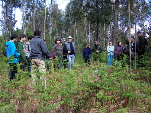 Na mámoa de Sete Camiños.