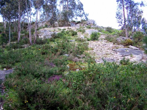 Restos dunha antiga canteira.