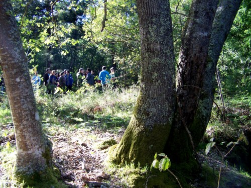 No Monte de San Martiño de Salcedo.