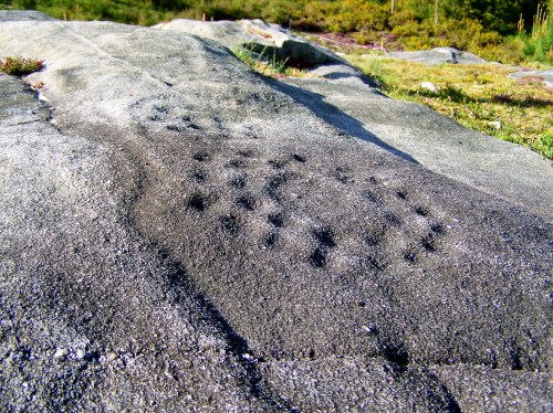Gravados rupestres de Outeiro da Moura.