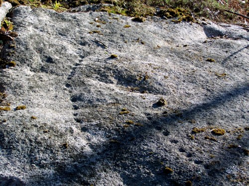 Aliñamento de coviñas a carón da pedra "escorregadoiro".