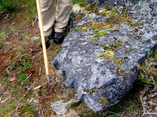 Marcas de cantería a carón da Pedra do Sapo.