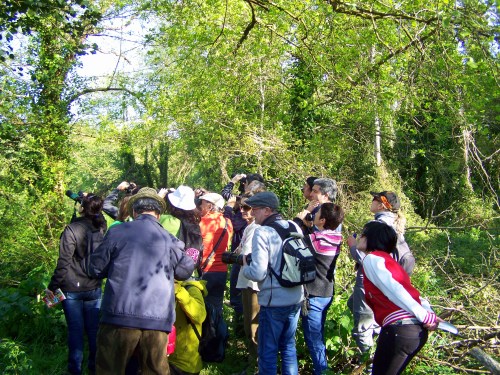 Andaina ornitolóxica polo río Gafos organizada por Vaipolorío.