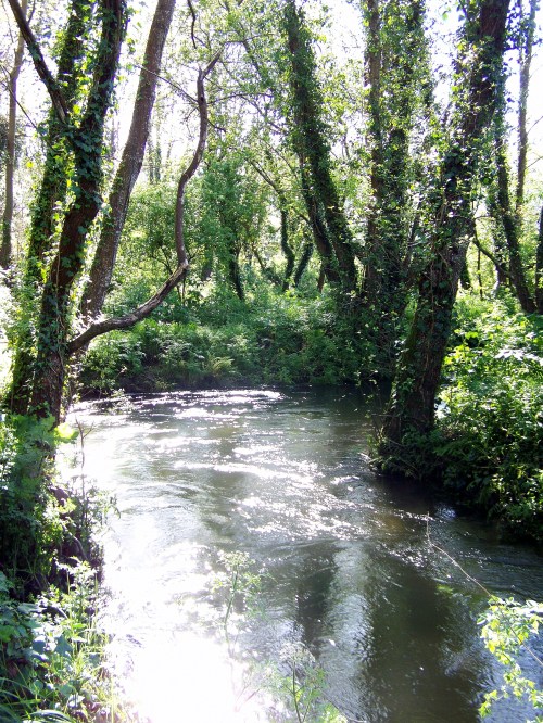 Andaina ornitolóxica polo río Gafos organizada por Vaipolorío.