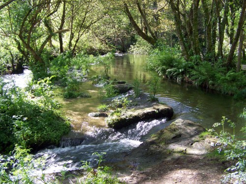 Treito do río Gafos.