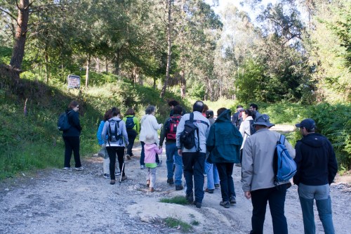 O grupo de sendeirismo do Colexio de Avogados de Pontevedra visitou o Espazo Natural e Arqueolóxico dos Sete Camiños. (Foto: Fran Currás).