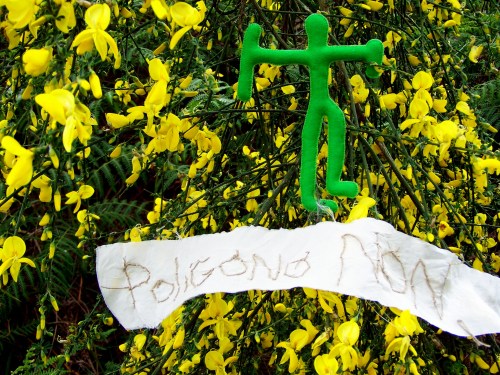 1 de maio no Monte Pituco.