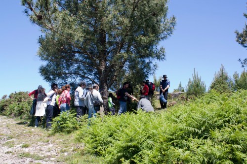 O grupo de sendeirismo do Colexio de Avogados de Pontevedra visitou o Espazo Natural e Arqueolóxico dos Sete Camiños. (Foto: Fran Currás).