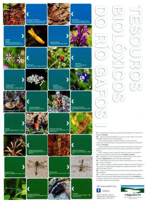 Tesouros Gafos, por Vaipolorío.