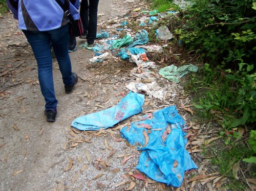 No camiño tamén atopamos mostras da "burricie" humana.