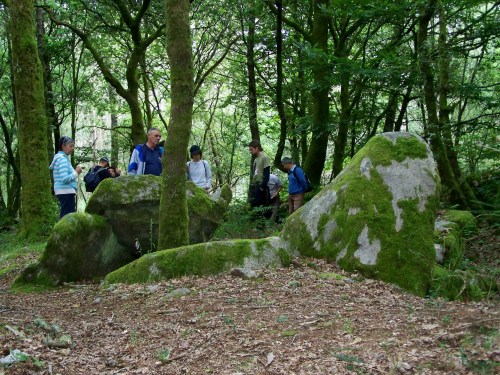 Mámoa de Forno de Arcas, en Pastoriza.