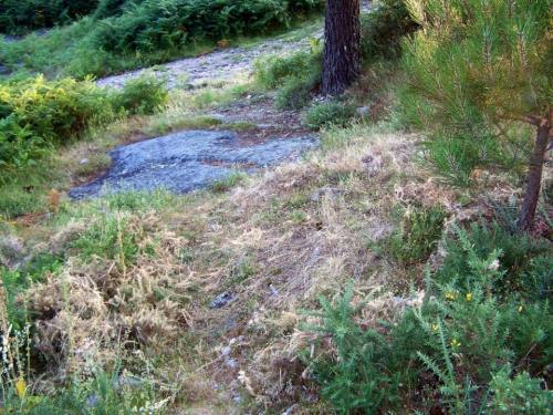 O nulo mantemento dos petroglifos do Pornedo.