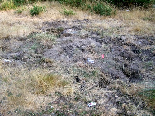 A área recreativa do Pornedo, DESMANTELADA.