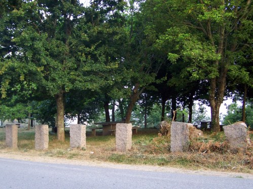 A arboreda luce un mellor aspecto despois de ser desbrozada.
