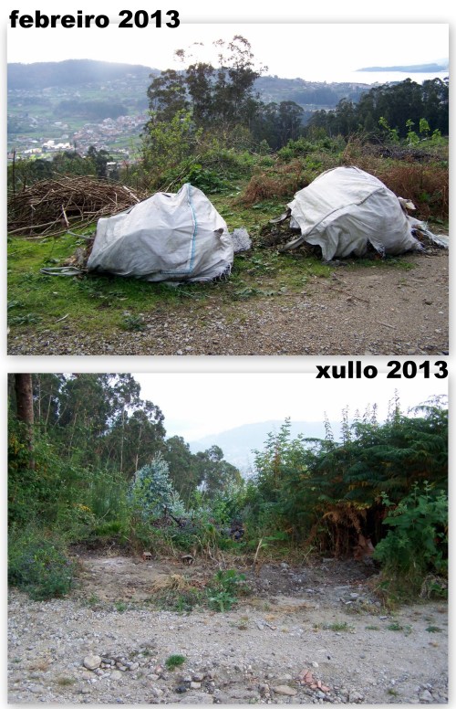 Pasaron 5 meses dende que apareceron os sacos cos restos de obra ata que por fin foron retirados.