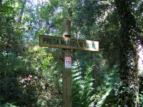 Poste sinalizador da toponimia do Gafos: Muíño do Toxal.