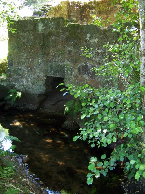 No Muíño do Toxal, a carón do río Gafos.