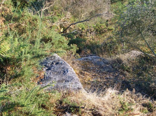 Petroglifo de Piñeiral de Caeiro, no Monte Pituco.
