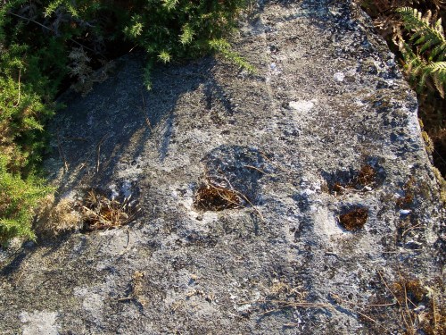 Marcas de cantería nas pedras cercanas ao petroglifo de Pinal de Caeiro.