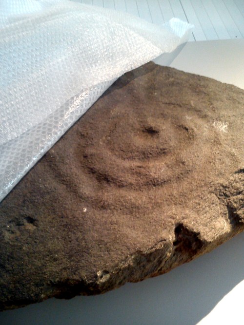 No Edificio Sarmiento do Museo de Pontevedra.