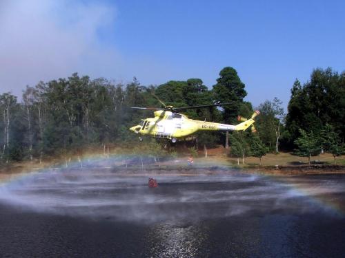 Collendo auga na lagoa de Castiñeiras. Foto de Paulo Troitiño.