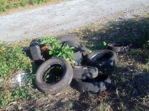Verquido ilegal de rodas no aparcadoiro do campo de fútbol de Salcedo, en terreos de Lourizán.