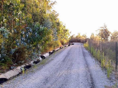 Verquido ilegal de rodas na pista de servizo da Variante de Marín.