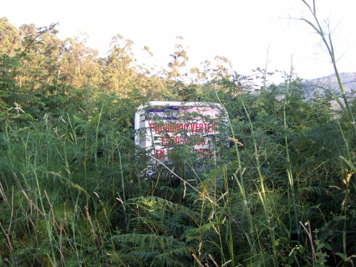 Cartaz prohibindo verquer lixo, cuberto de vexetación (xullo de 2013).