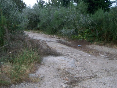 Estado da pista forestal do Monte Pituco en xullo de 2013.