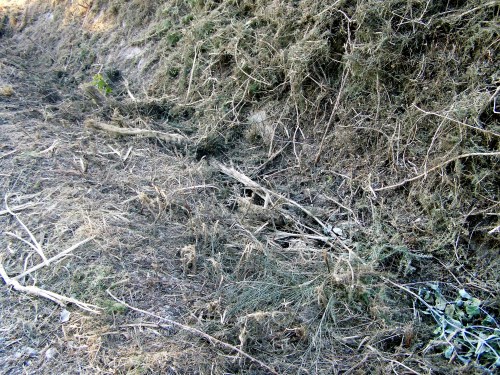 Os restos dos traballos de desbroce, na canle pola que baixarían as augas pluviais.