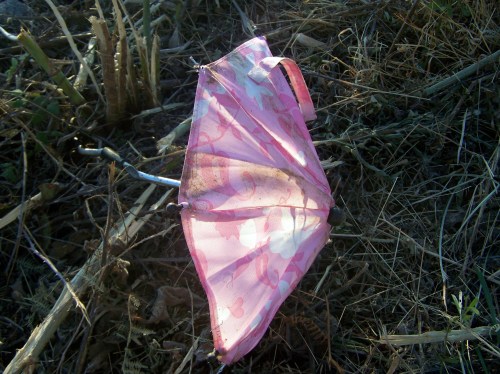 O que había debaixo de tanta vexetación.