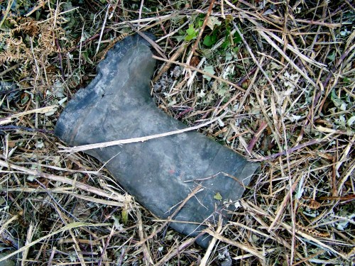 O que había debaixo de tanta vexetación.