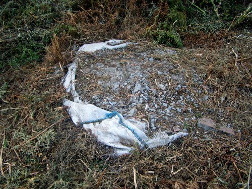 O que había debaixo de tanta vexetación.