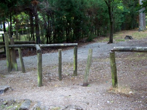 Os valados de madeira, en mal estado.