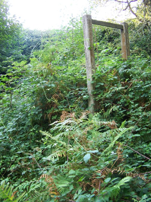 A maleza invade diversos espazos de Castiñeiras.