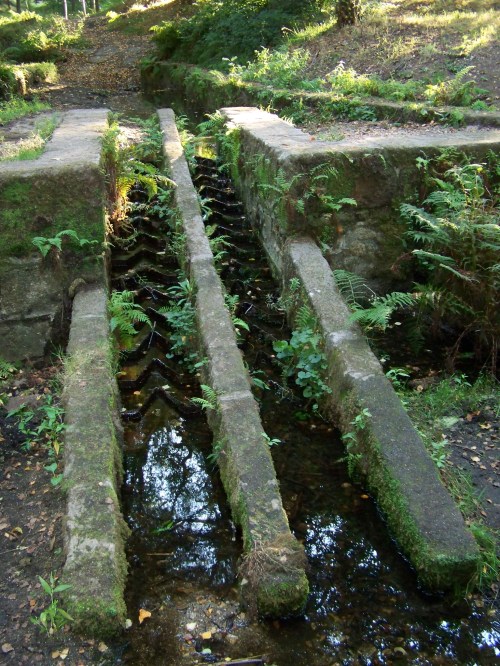 Máis signos da sequía no regato que conduce á lagoa de Castiñeiras.